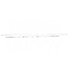 Translation missing: en.Reset Buddy accessibility.home